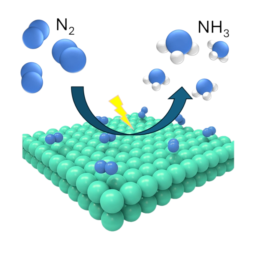 Ammonia Synthesis